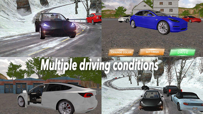 Model 3 Test Drive Game Screenshot