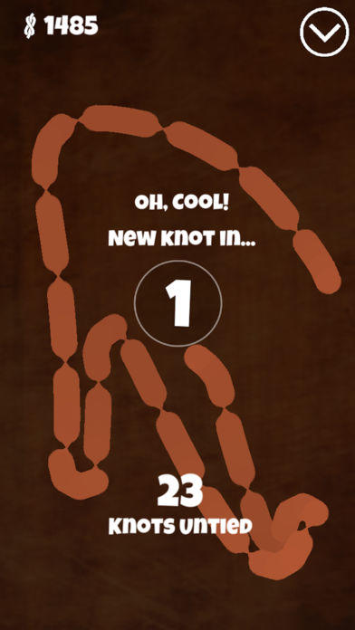 Knot Fun ゲームのスクリーンショット