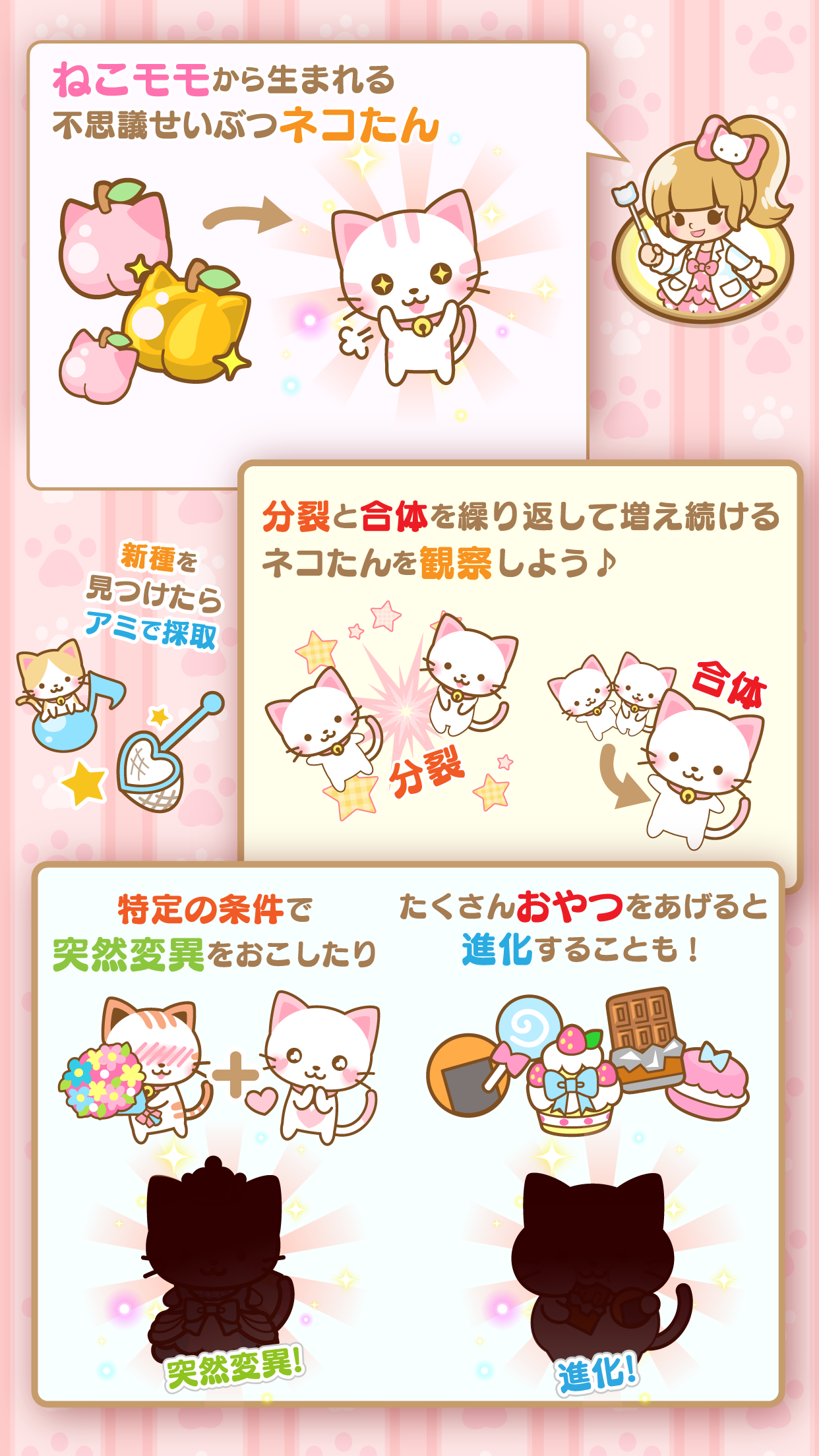 ネコたん研究所 Game Screenshot
