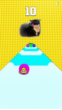 MAXWELL CAPYBARA SHIBA INU Game Screenshot