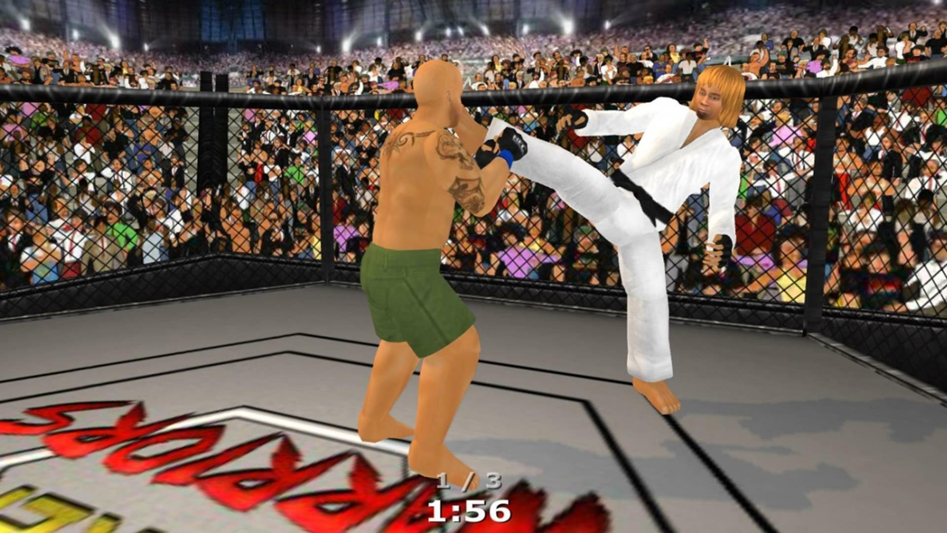 Screenshot of Weekend Warriors MMA