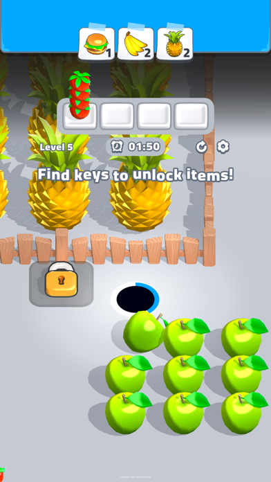 Hole Match - Jam Puzzle Game Screenshot
