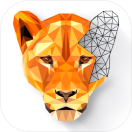 Polygon - Art Coloring Book