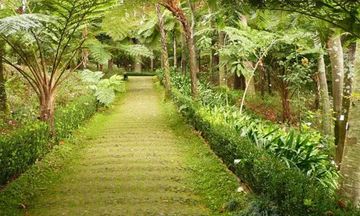 Cuplikan Layar Game Monte Tropical Garden Escape