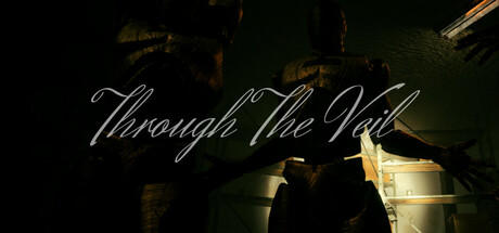 Banner of Through The Veil 