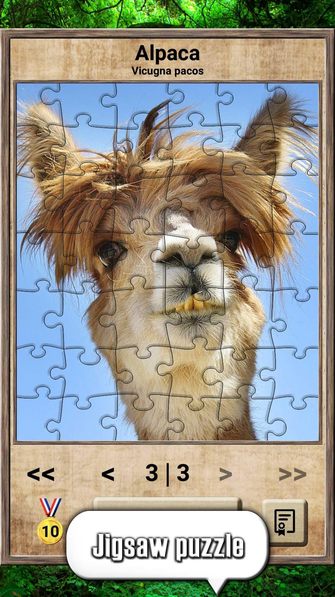 Скриншот игры Animal Kingdom - Quiz Game