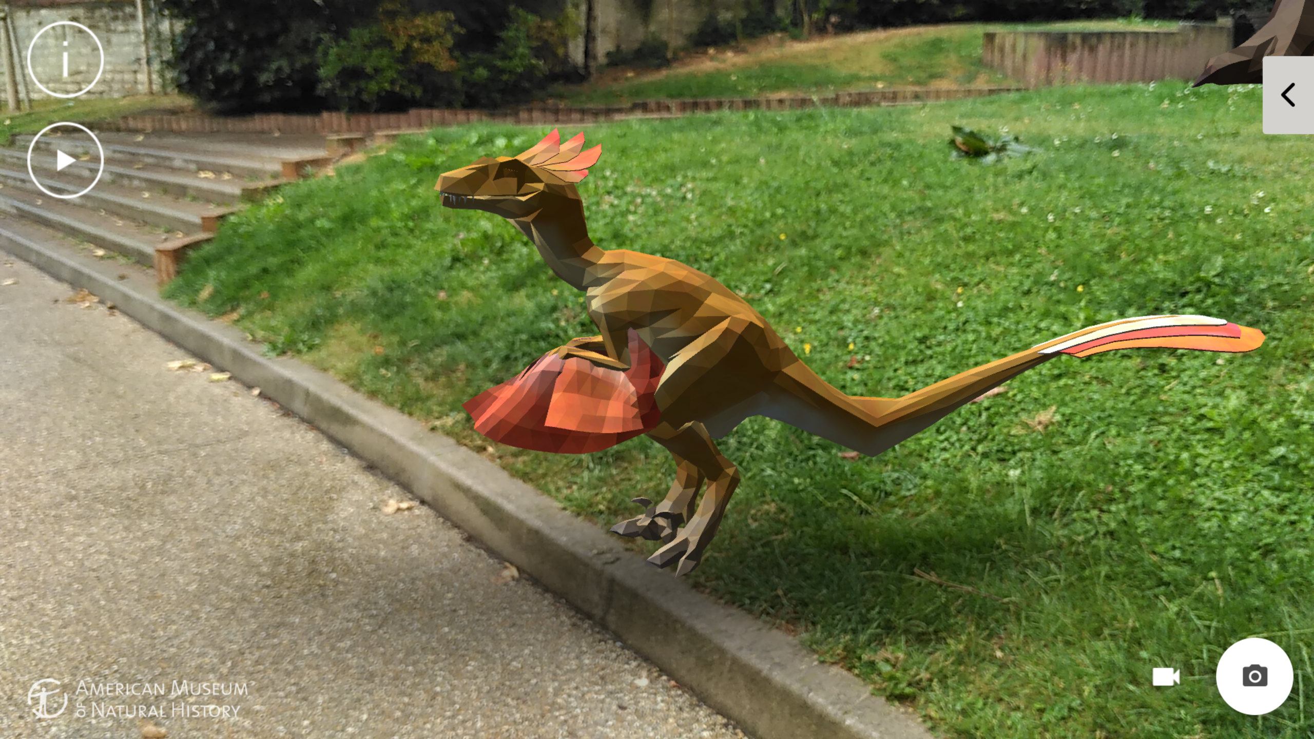 Screenshot 1 of Dinosaurus Diantara Kita 