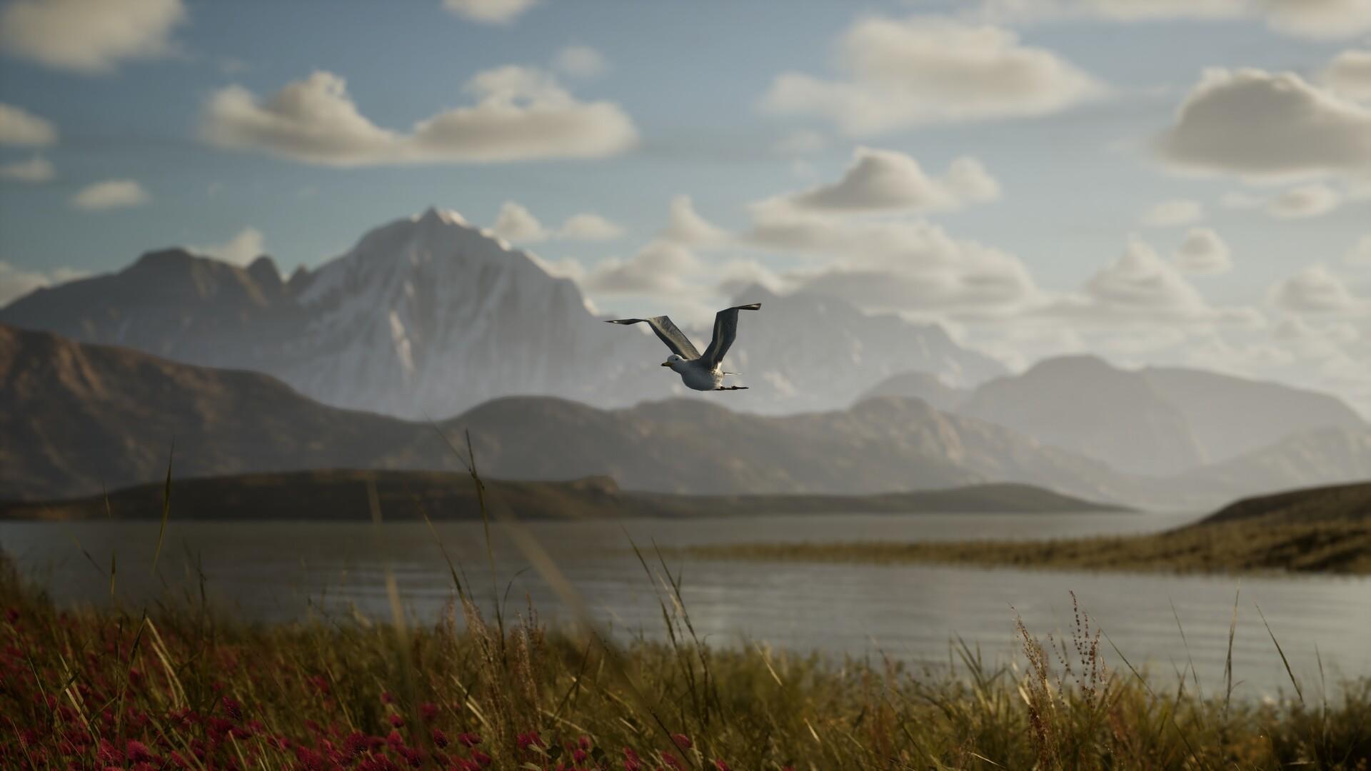 Photography Simulator Wildlife Prologue screenshot game