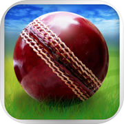 Cricket WorldCup Demam Deluxe