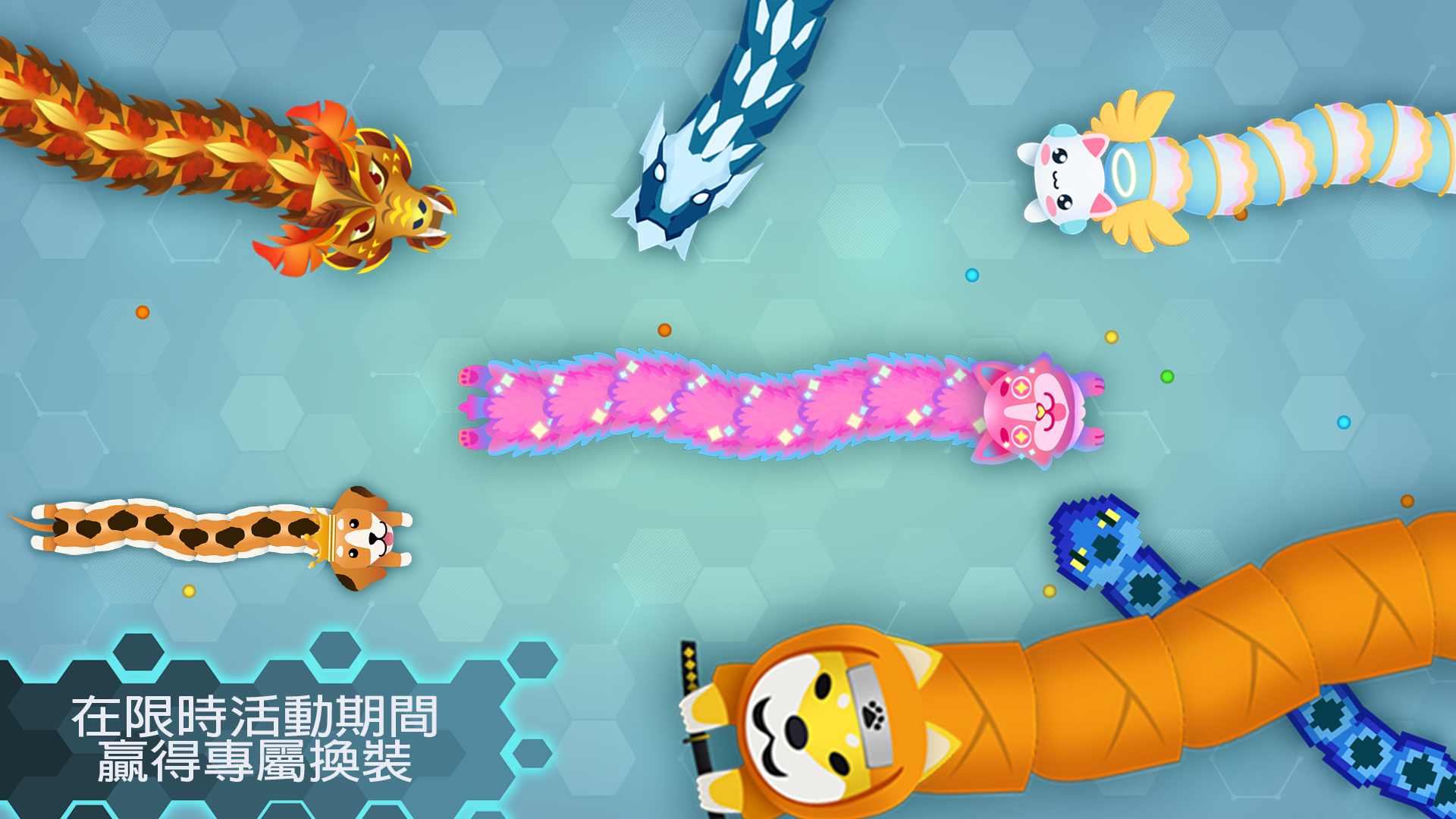 Snake.io - 有趣的 貪吃蛇.io 遊戲 遊戲截圖