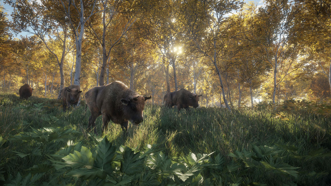 Screenshot of The Hunter: Call of the Wild™