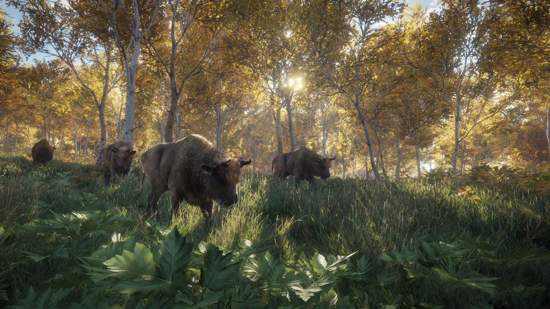 The Hunter: Call of the Wild™ Game Screenshot