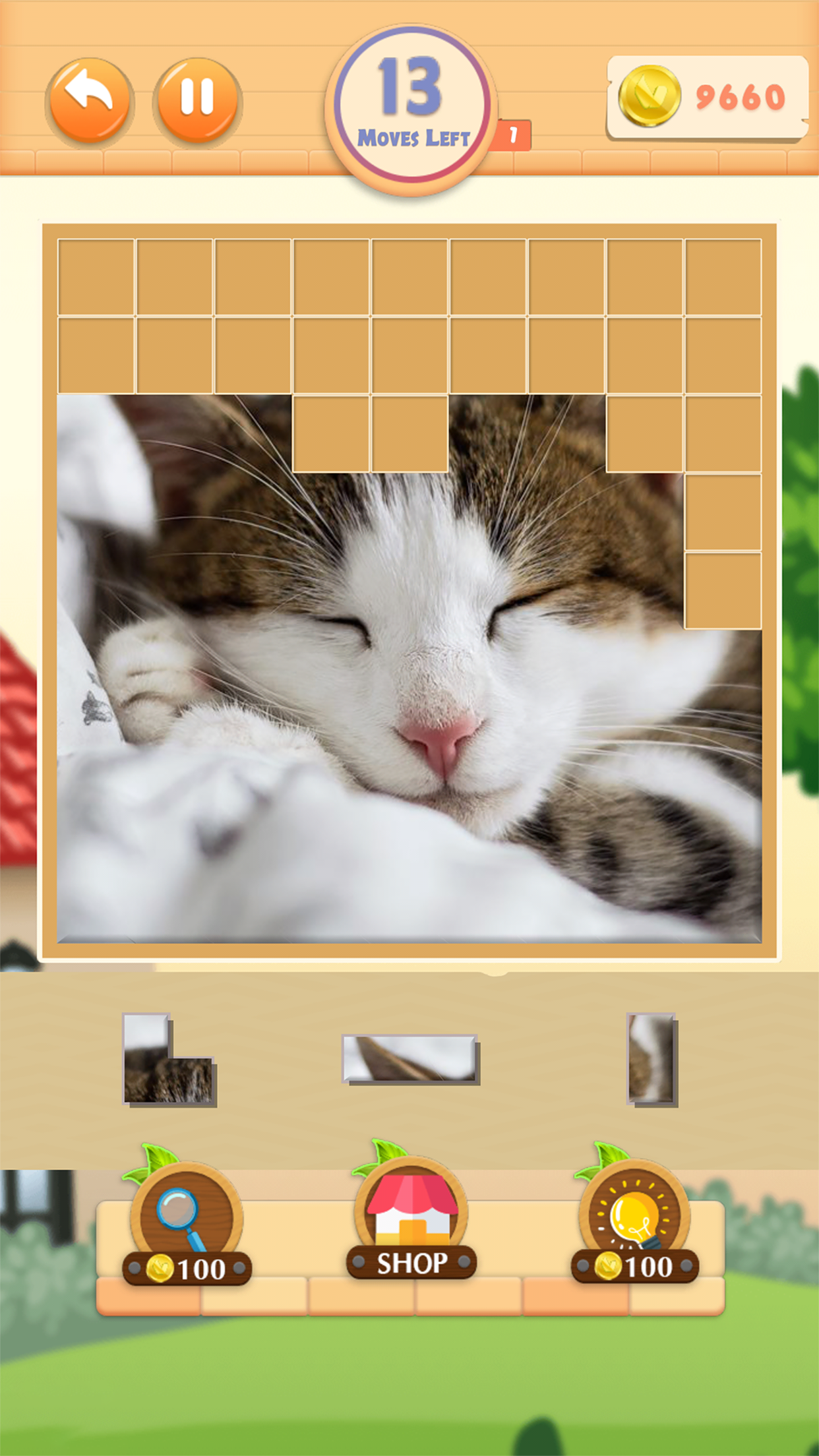 Pieces Pictures Game Screenshot