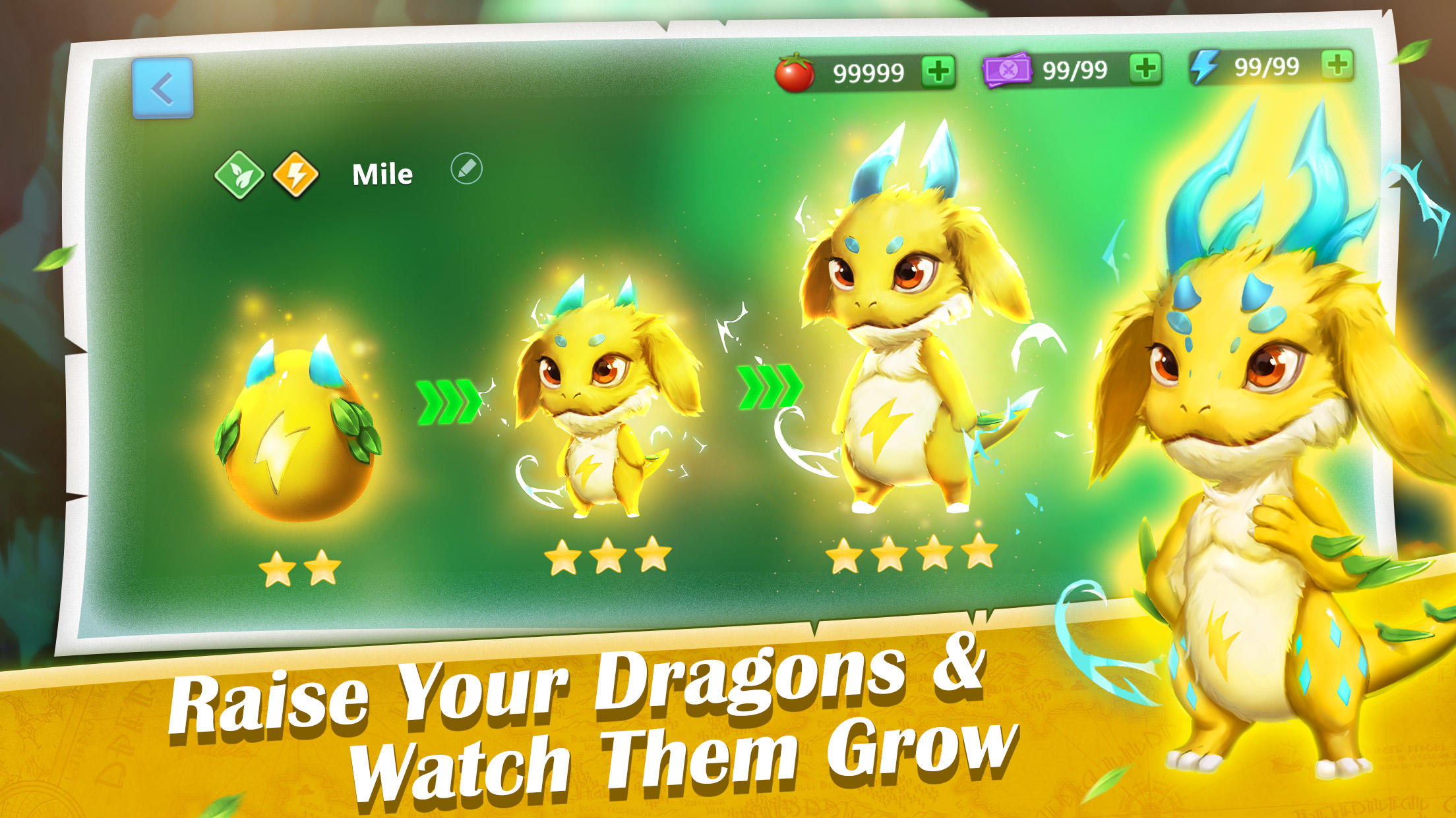 Dragon Tamer Game Screenshot