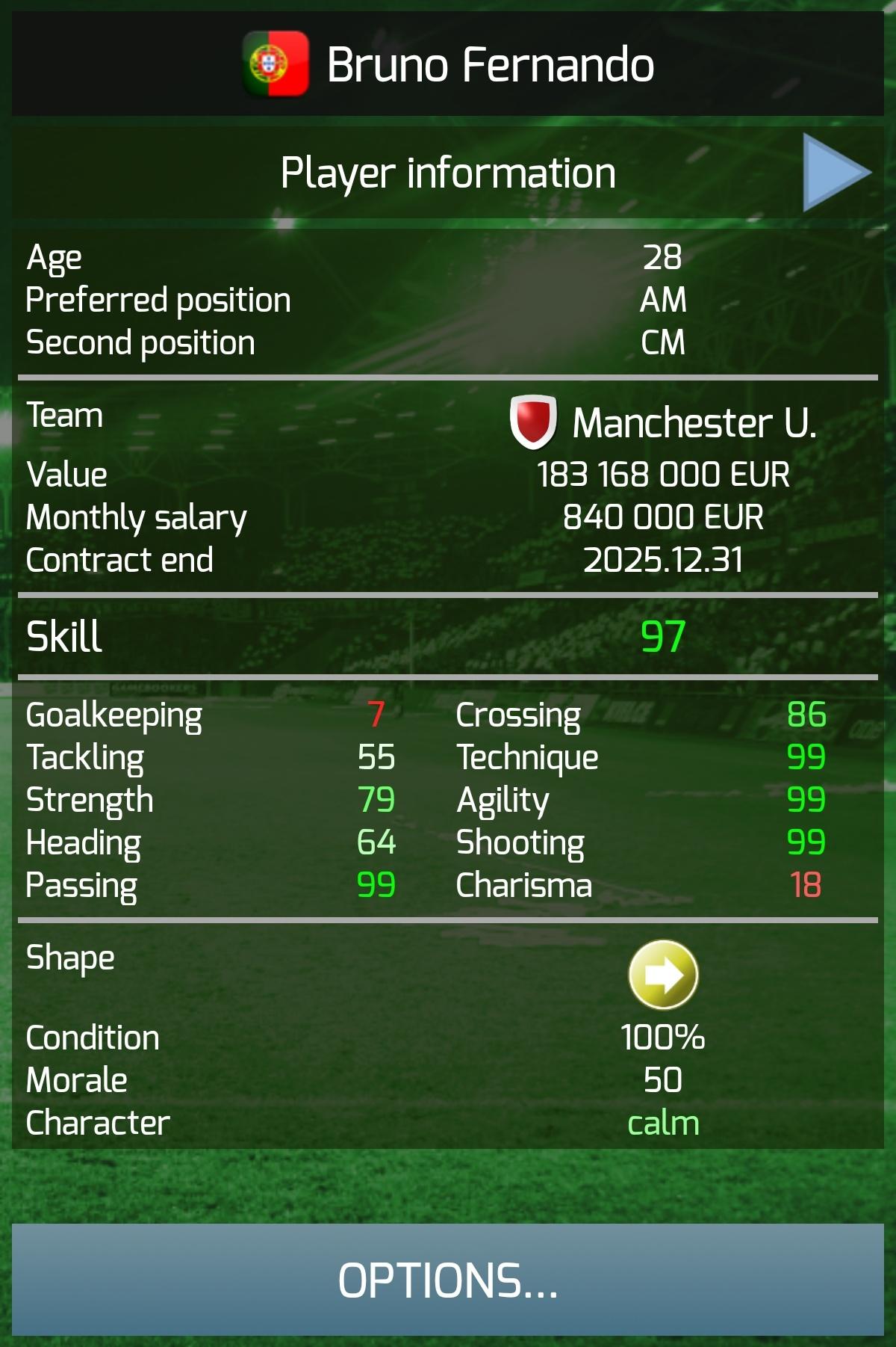 True Football 3 Game Screenshot