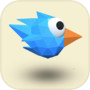 Bird Attack