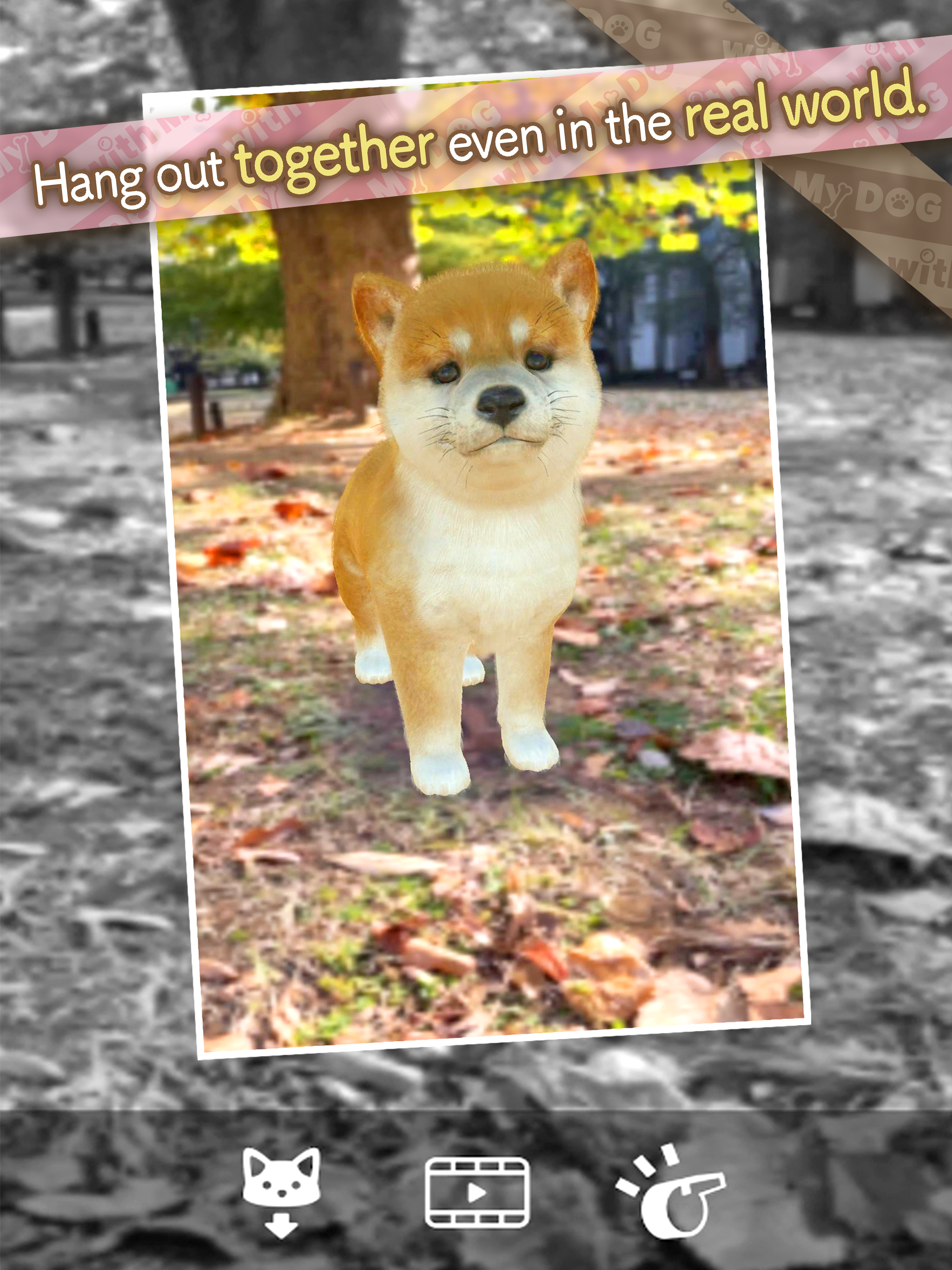 Screenshot of with My DOG