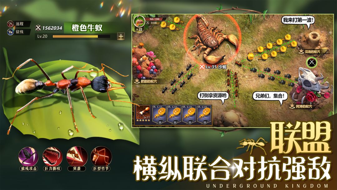 小小蚁国 screenshot game