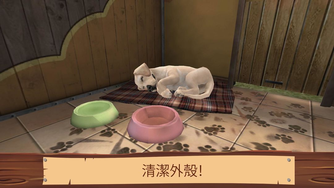 Pet World - 動物庇護所遊戲截圖