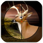 Deer Hunter 3D 2017 – Real Deer Hunting Game