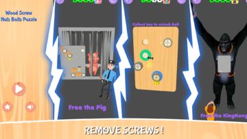 Captura de Tela do Jogo Quebra-cabeça de porcas