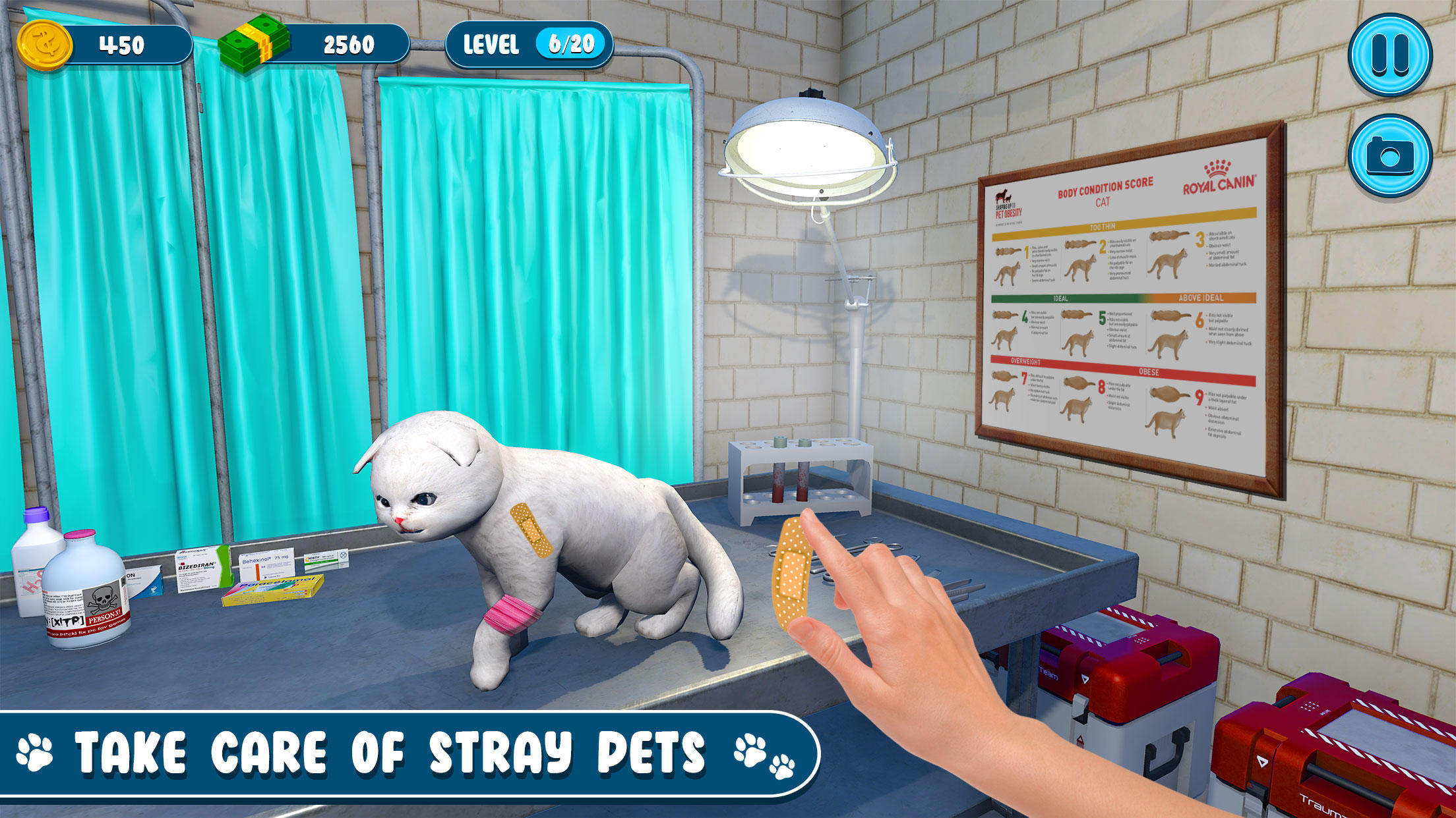 Screenshot of Animal Shelter: My Pet Dog Sim