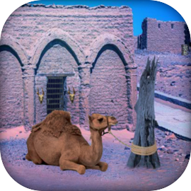 사막 낙타 이스케이프