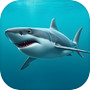 Shark Attack - Hunting Game