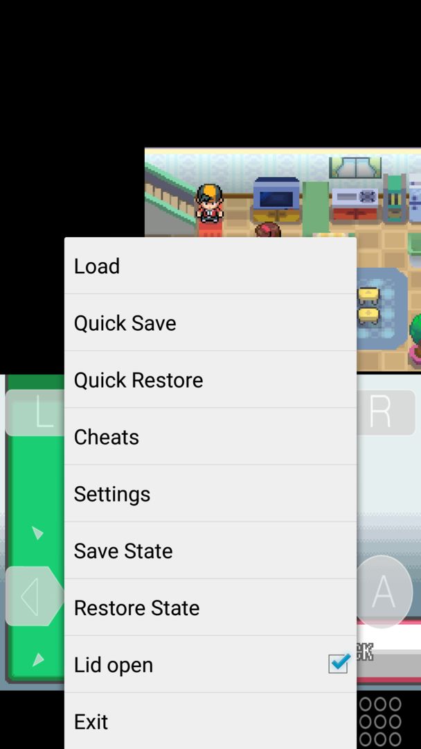 Screenshot of MegaNDS (NDS Emulator)