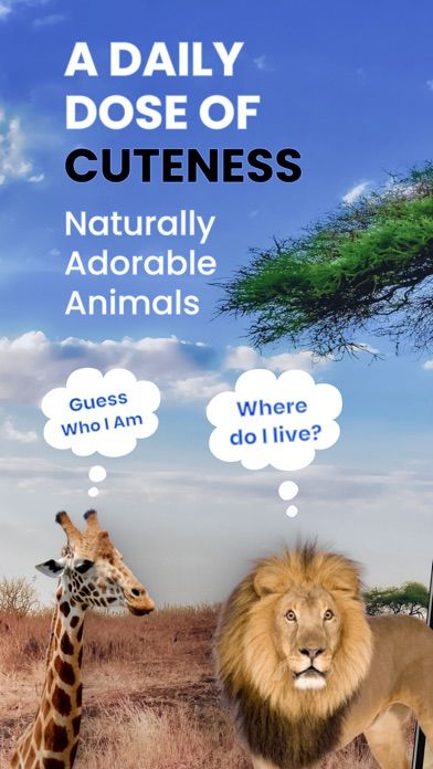 Cute Test Cute Critters : Animal Quiz for Android/iOS - TapTap