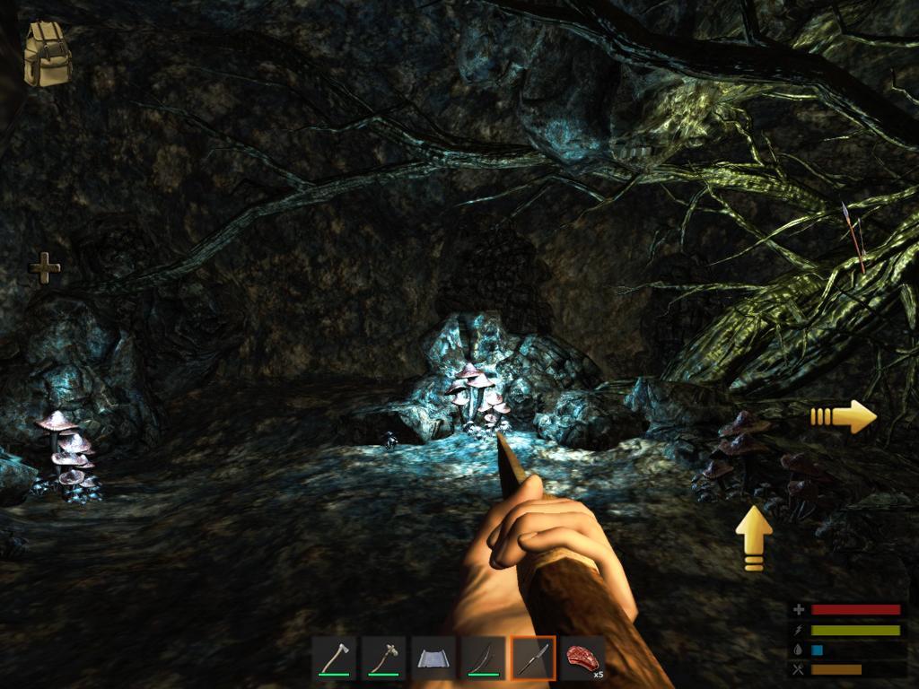 Survive: The Lost Lands Game Screenshot