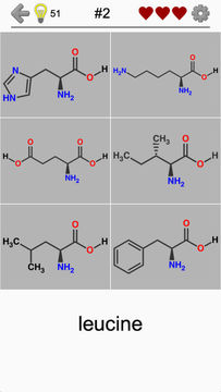 Amino Acids: Quiz & Flashcards Game Screenshot