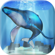 鯨魚養殖遊戲
