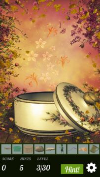 Hidden Object - Briar Rose Game Screenshot