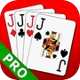 Euchre 3D Pro