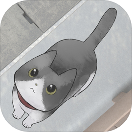 Escape game : Lost Cat Story