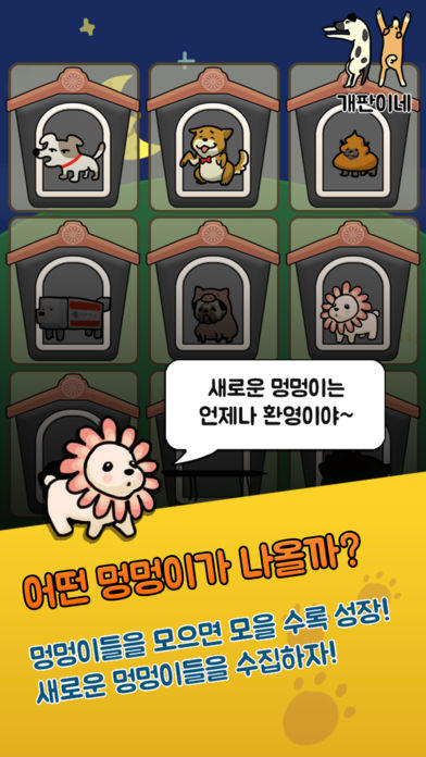 개판이네 - 강아지 키우기 Game Screenshot
