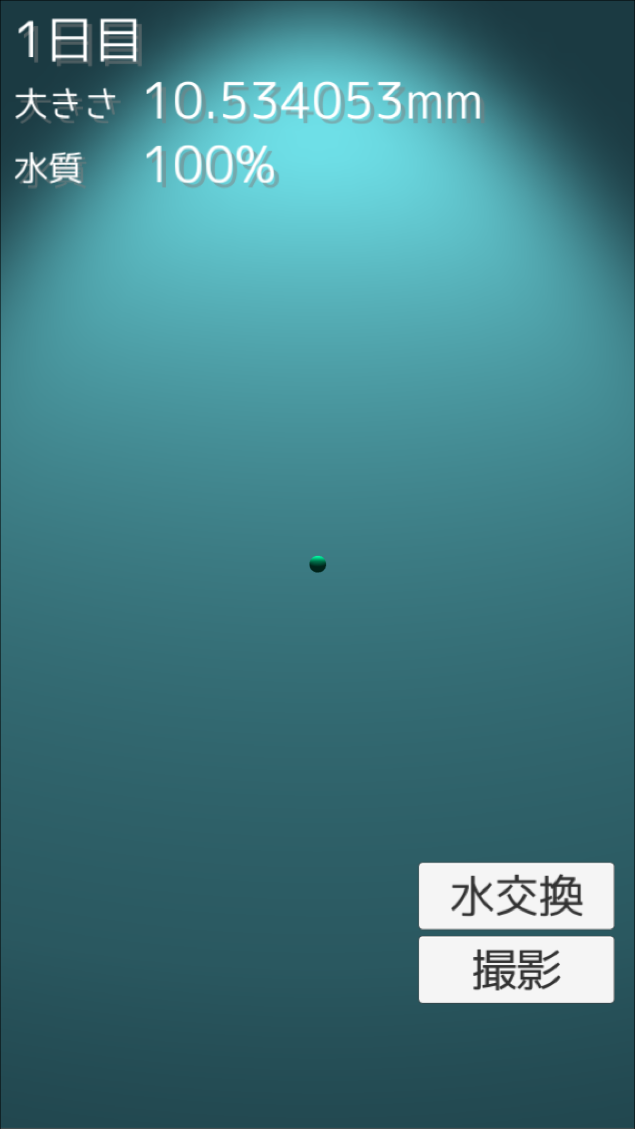 まりも育成ゲーム Game Screenshot
