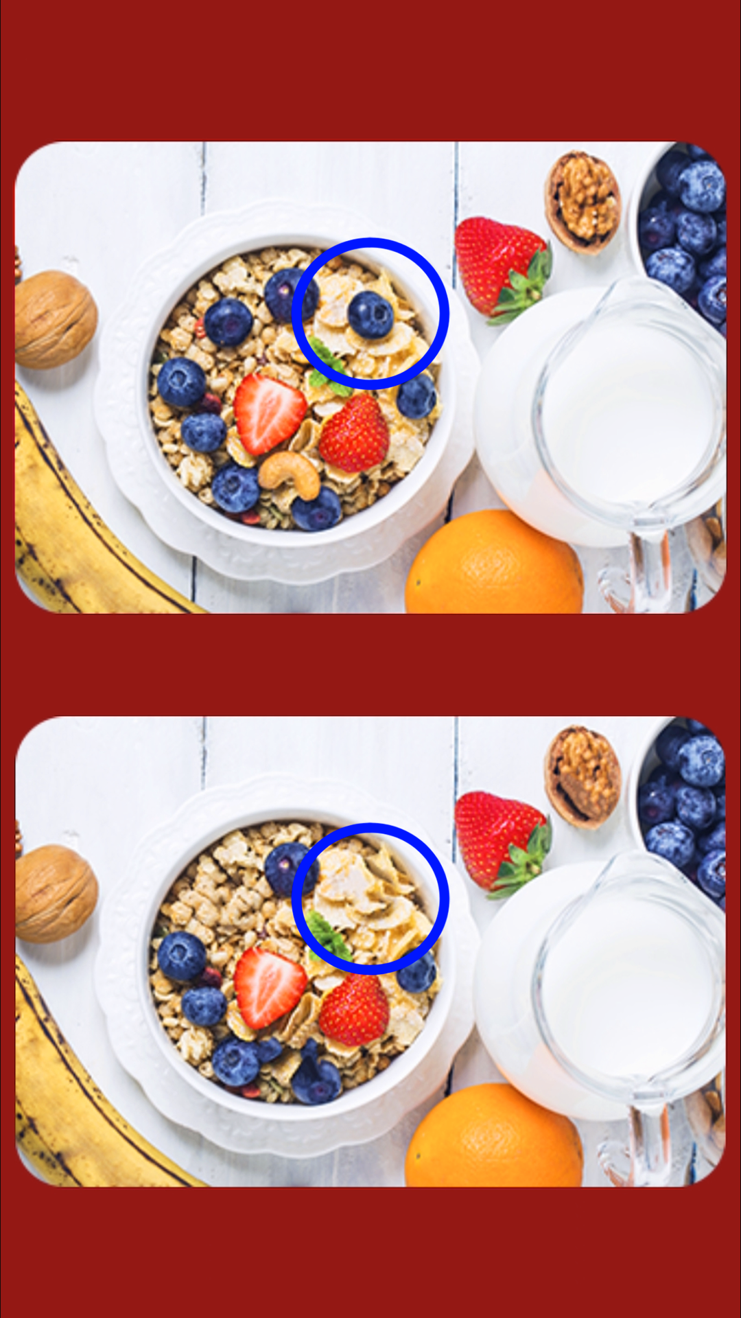 Spot The Differences Game ภาพหน้าจอเกม