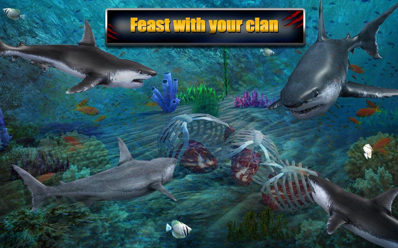 Angry Shark Adventures 3D Game Screenshot