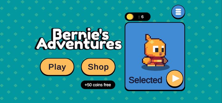 Bernie's Adventures Game Screenshot