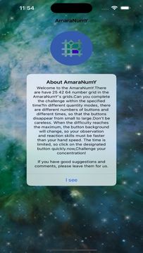 AmaraNumY Game Screenshot