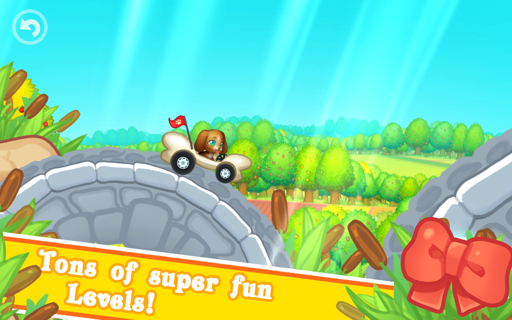 Pet Friends Park Racing screenshot game
