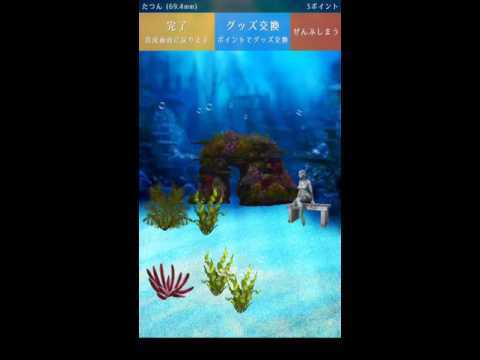 Seahorse simulation game 비디오 스크린샷
