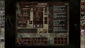 Скриншот игры Icewind Dale: Enhanced Edition