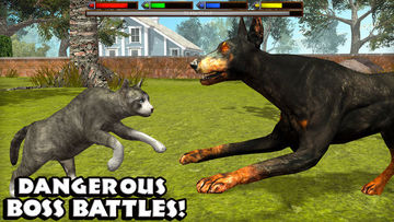 Скриншот игры Ultimate Cat Simulator