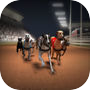 Greyhound Racing ®