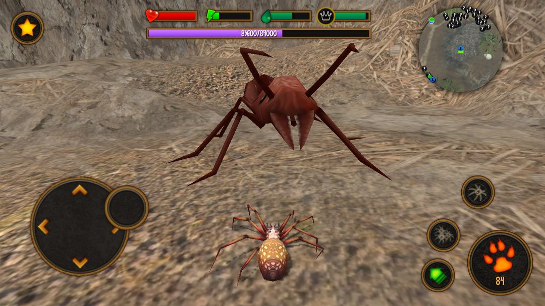 Screenshot of Life of Spider