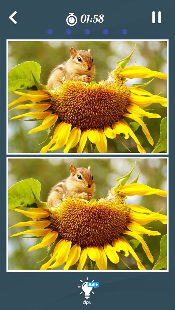 Spot the Differences game free screenshot game