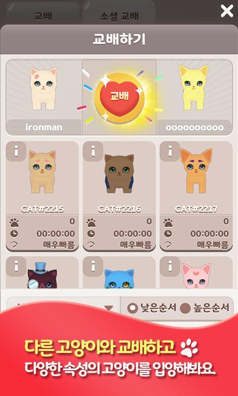밀리언 키티 : 크립토 고양이 Game Screenshot